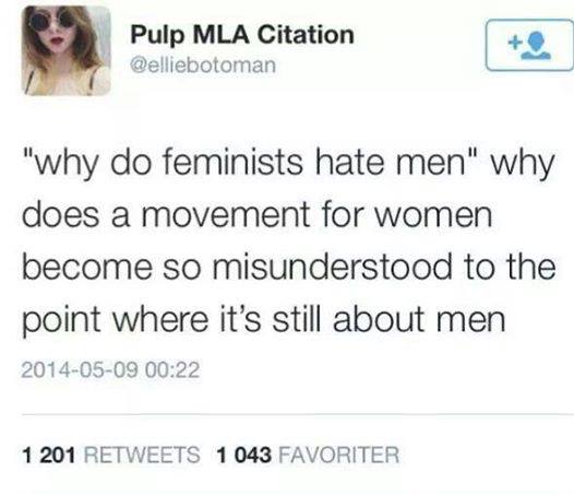 why do feminists hate men