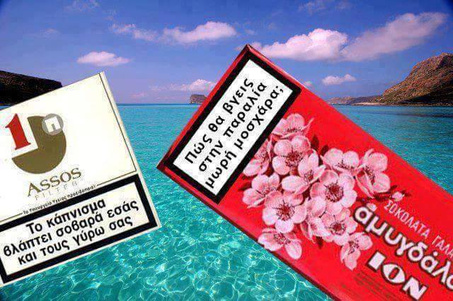 12992966_205189496529827_662160921_n